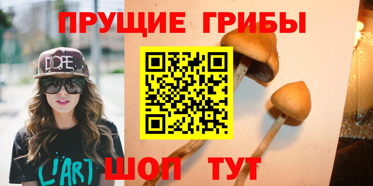 Псилоцибиновые грибы GOLDEN TEACHER Курск
